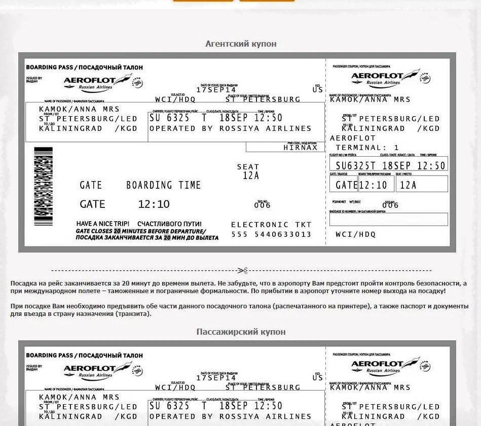 Онлайн-регистрация на рейс “Аэрофлот”