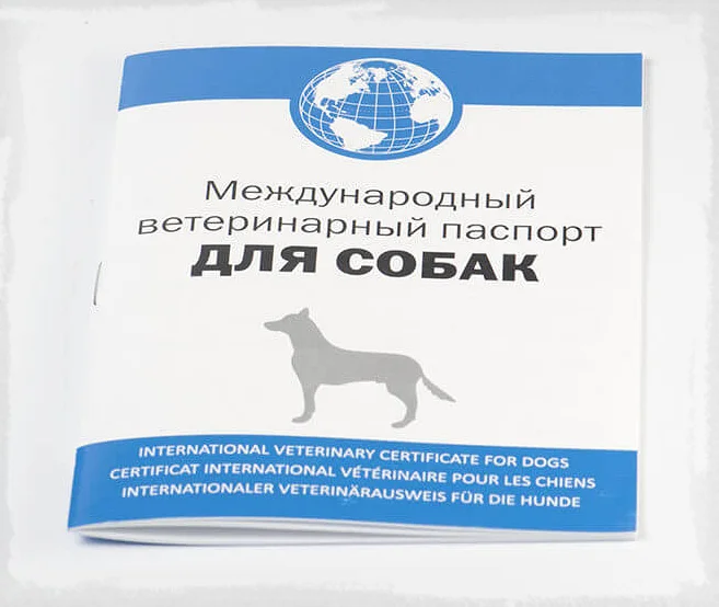 Международный ветпаспорт для собак